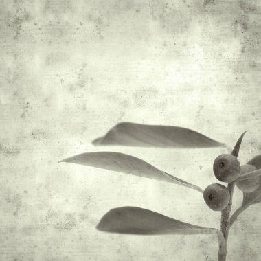  Eski kağıt arkaplan