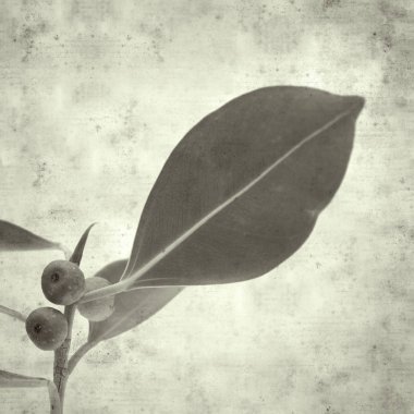  Eski kağıt arkaplan