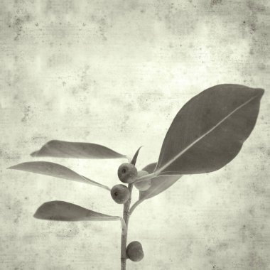  Eski kağıt arkaplan