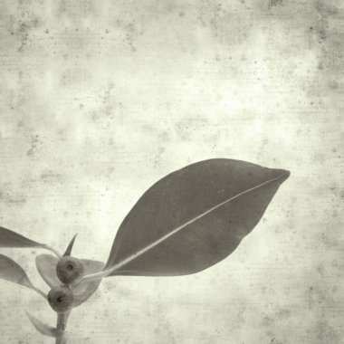  Eski kağıt arkaplan