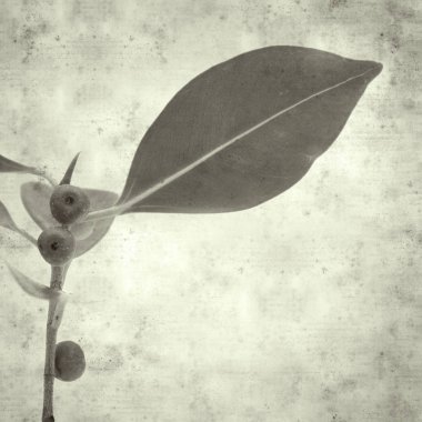  Eski kağıt arkaplan