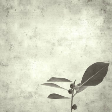  Eski kağıt arkaplan