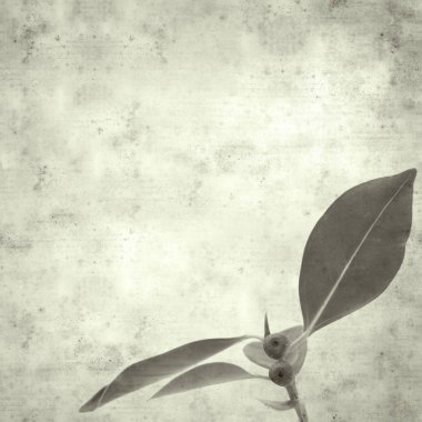  Eski kağıt arkaplan