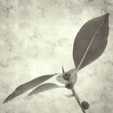  Eski kağıt arkaplan