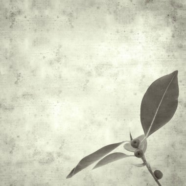  Eski kağıt arkaplan