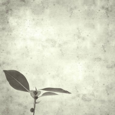  Eski kağıt arkaplan