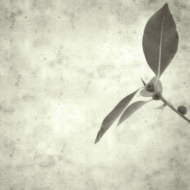  Eski kağıt arkaplan