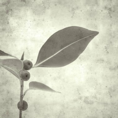  Eski kağıt arkaplan