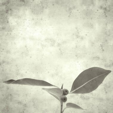  Eski kağıt arkaplan