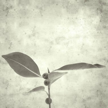  Eski kağıt arkaplan