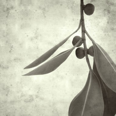  Eski kağıt arkaplan