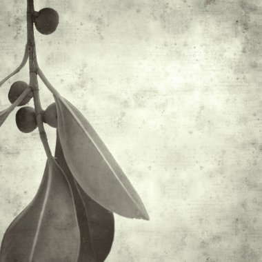  Eski kağıt arkaplan