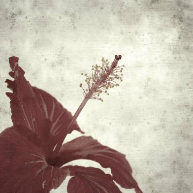  Eski kağıt arkaplan