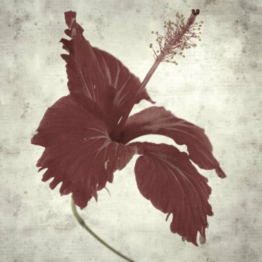  Eski kağıt arkaplan