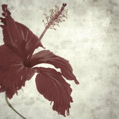  Eski kağıt arkaplan