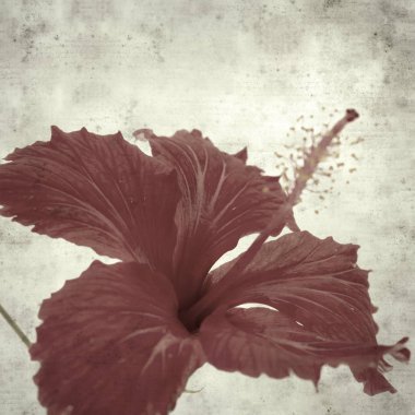  Eski kağıt arkaplan