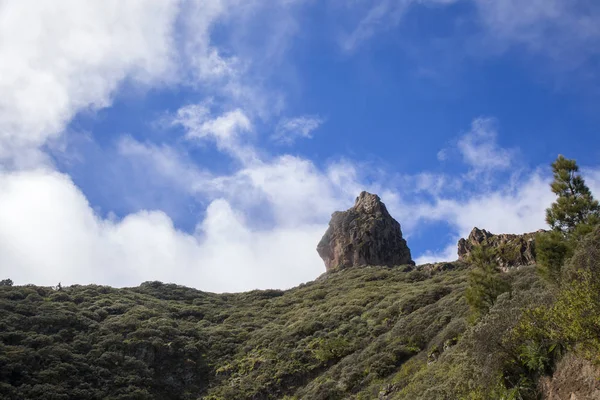 Gran Canaria, februari — Stockfoto