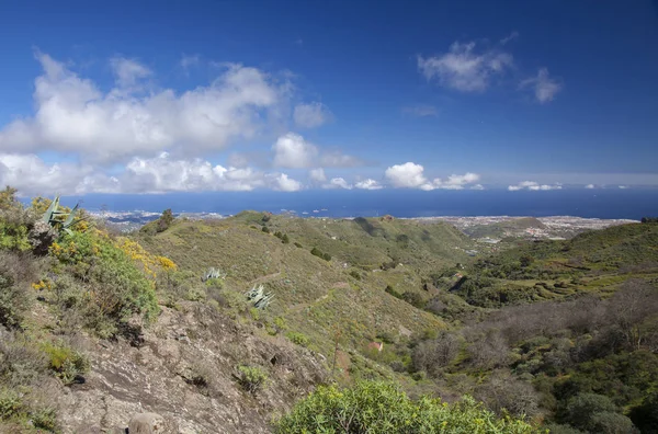 Gran Canaria, febrero —  Fotos de Stock