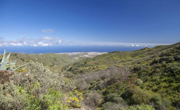 Gran Canaria, February — Stock Photo, Image