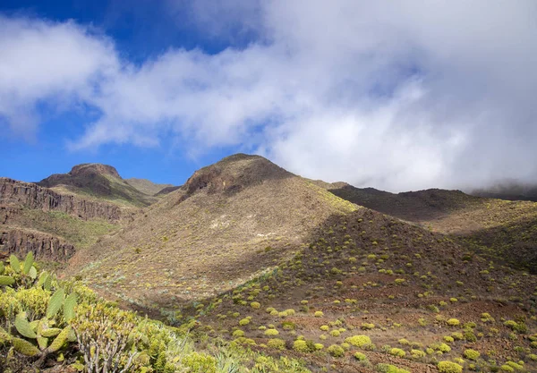 Gran Canaria, Şubat
