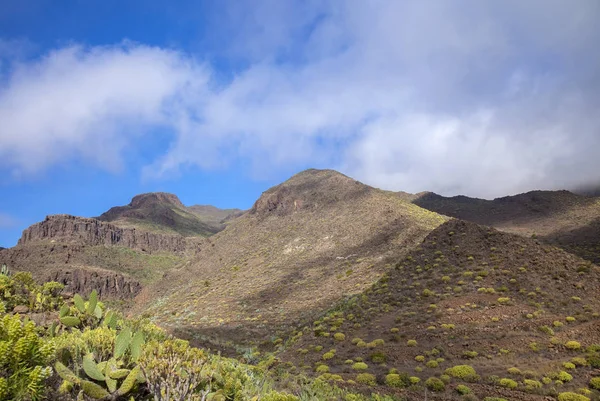 Gran Canaria, Şubat