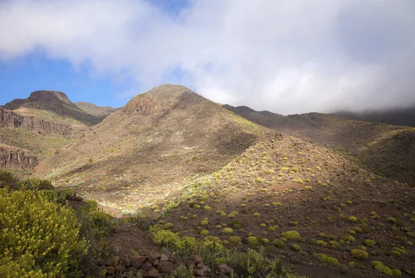 Gran Canaia, Şubat, peyzaj Temisas