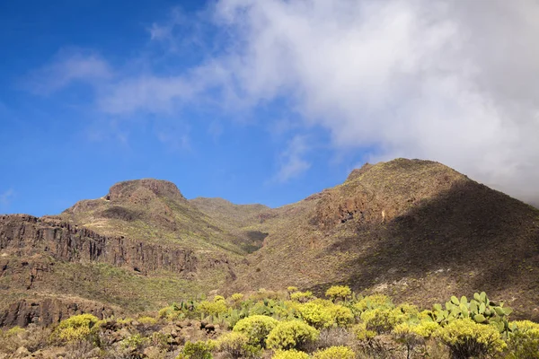 Gran Canaia, Şubat, peyzaj Temisas