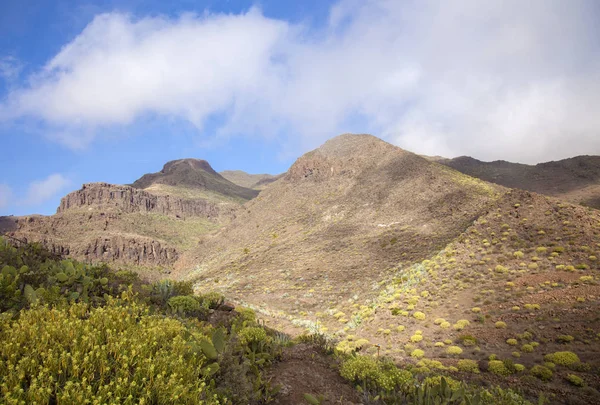 Gran Canaria, Şubat