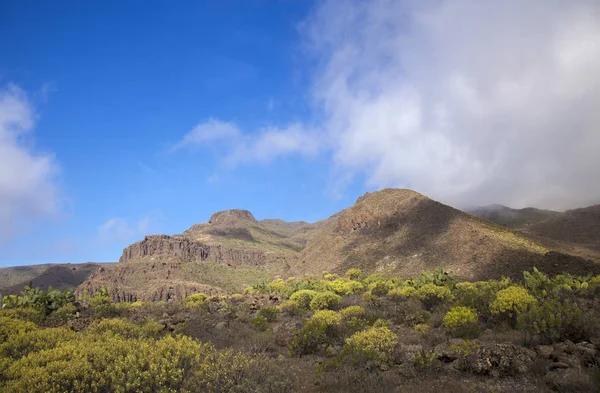 Gran Canaria, Şubat
