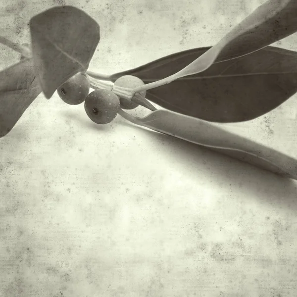  Eski kağıt arkaplan