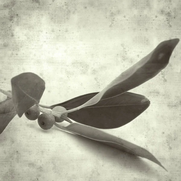  Eski kağıt arkaplan