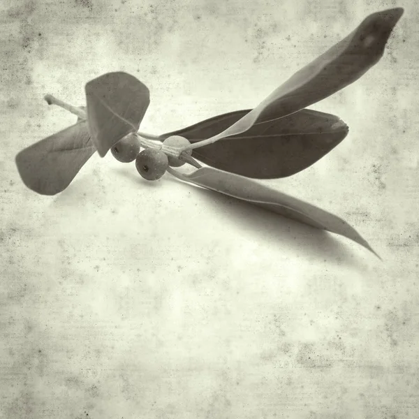  Eski kağıt arkaplan