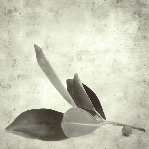  Eski kağıt arkaplan