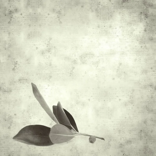  Eski kağıt arkaplan