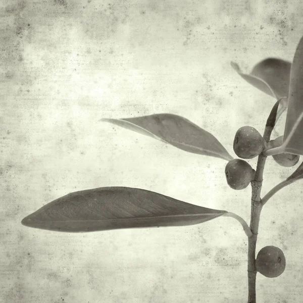  Eski kağıt arkaplan