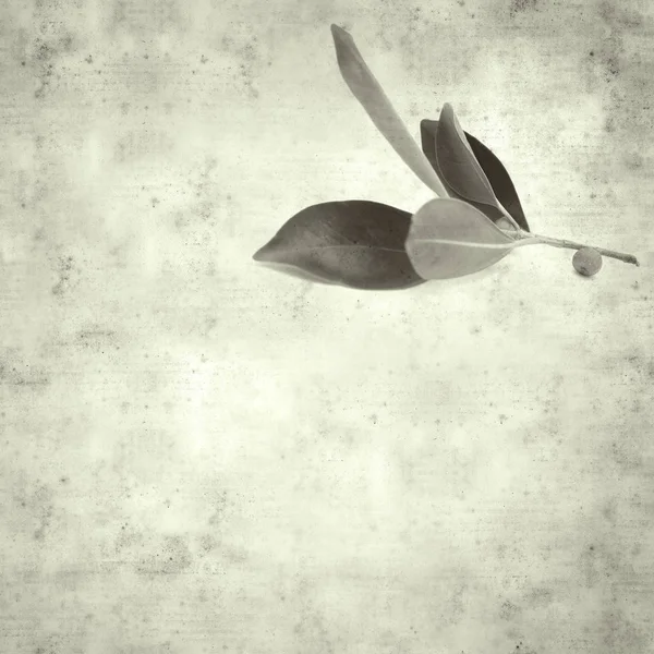  Eski kağıt arkaplan