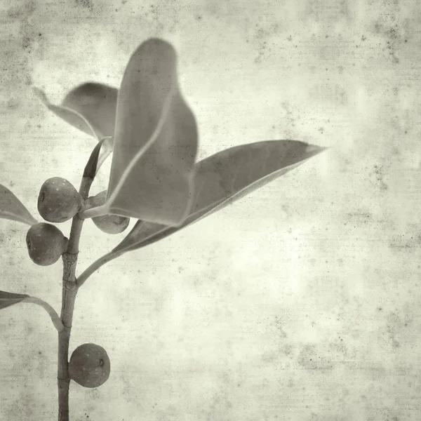  Eski kağıt arkaplan