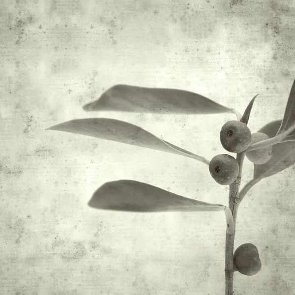  Eski kağıt arkaplan