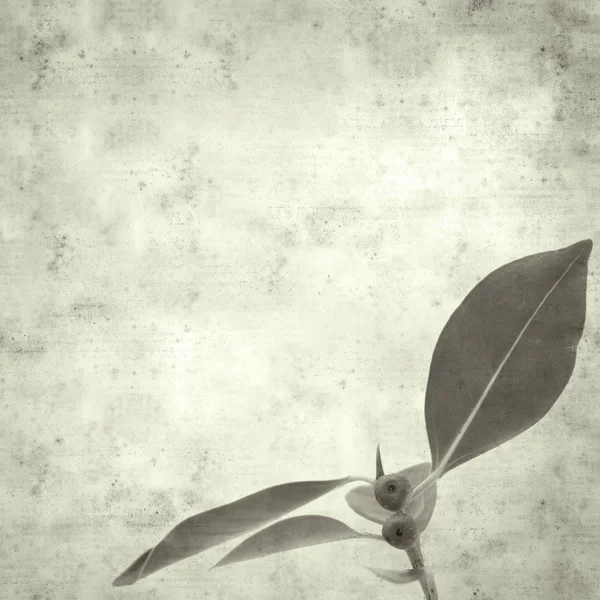  Eski kağıt arkaplan