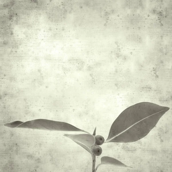  Eski kağıt arkaplan