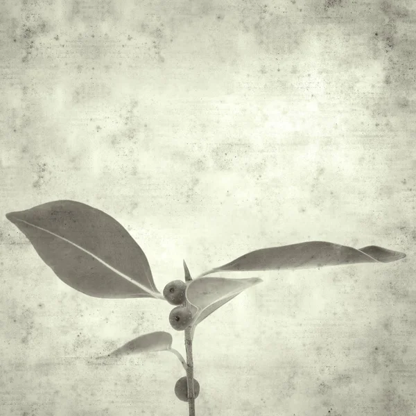  Eski kağıt arkaplan