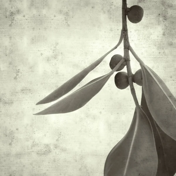  Eski kağıt arkaplan