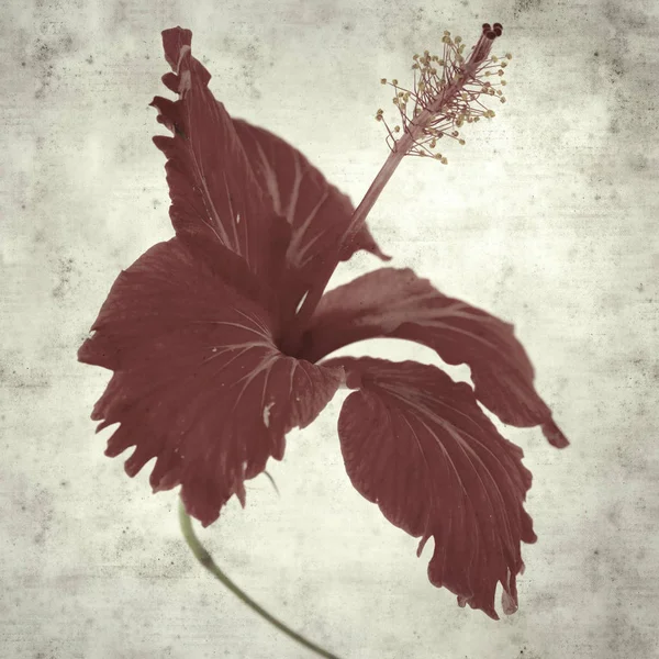  Eski kağıt arkaplan