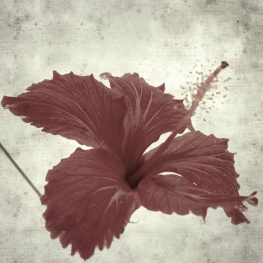  Eski kağıt arkaplan