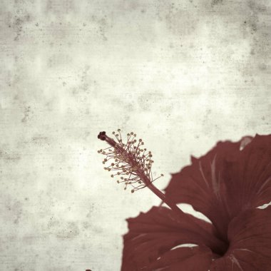  Eski kağıt arkaplan