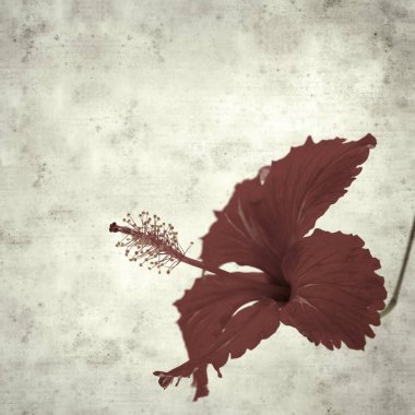  Eski kağıt arkaplan