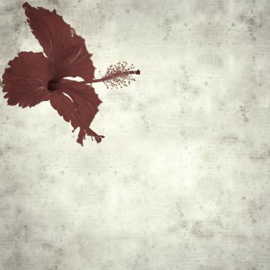  Eski kağıt arkaplan