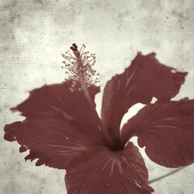  Eski kağıt arkaplan