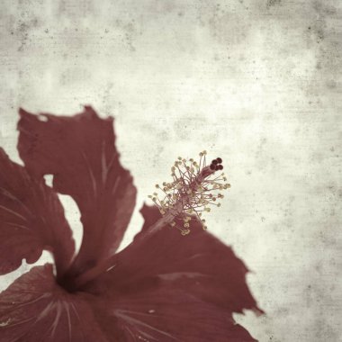  Eski kağıt arkaplan