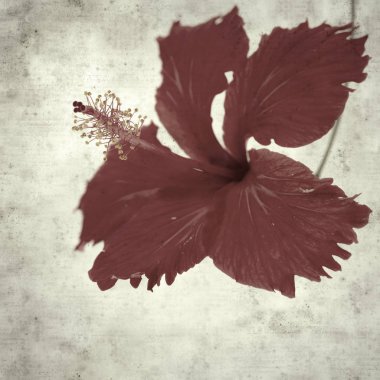  Eski kağıt arkaplan